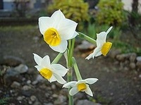 img_20150402-215638.jpg