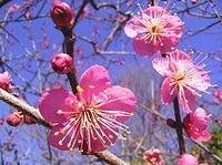 img_20150402-220848.jpg