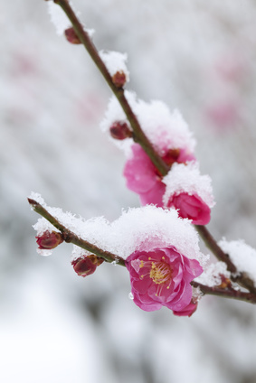 img_20161120-143025.png