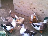 img_20140528-144030.jpg