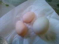img_20140528-144057.jpg