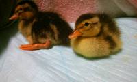 img_20140528-144105.jpg