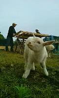 img_20140528-144137.jpg
