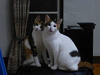 img_20140528-144152.jpg