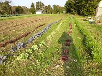 img_20140528-144232.jpg