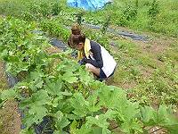 img_20140528-144253.jpg