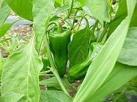 img_20140528-144308.jpg