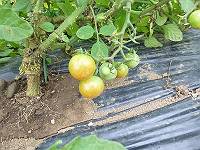 img_20140528-144327.jpg