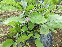 img_20140528-144335.jpg