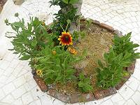 img_20140528-145515.jpg