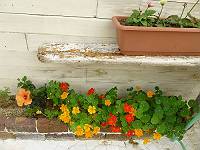 img_20140528-145525.jpg