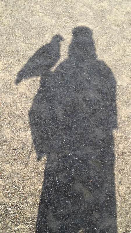 奉納神事画像