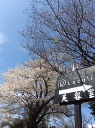 blog_20150406-120616-e77.jpg
