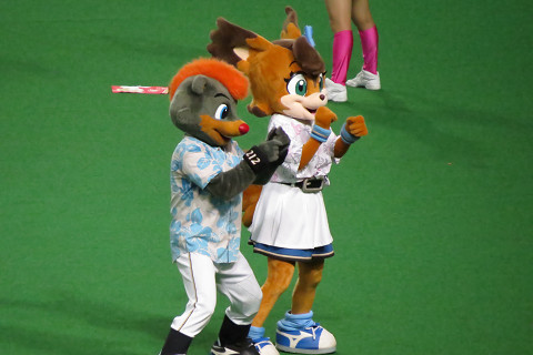 img_20150811-050544.jpg