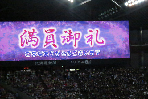 img_20150811-050807.jpg