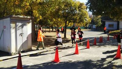 img_20231209-142256.jpg