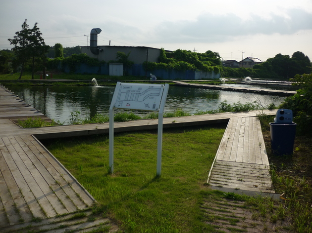img_20140715-150603.jpg