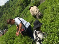 img_20160506-100830.jpg