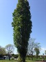img_20131205-185619.jpg