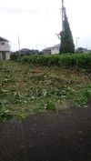 img_20150915-130408.jpg