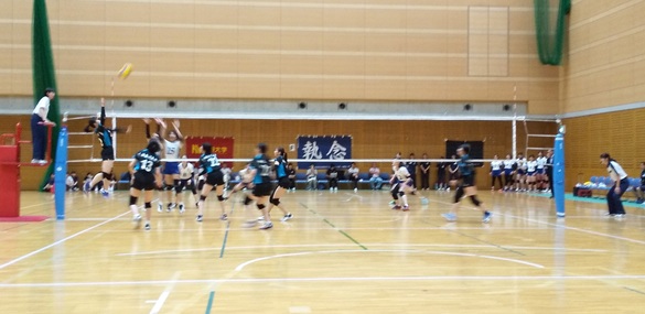 img_20190626-092809.jpg