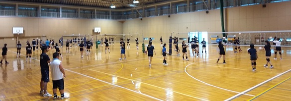 img_20190807-202739.jpg