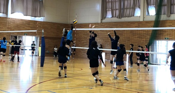 img_20190819-033700.jpg