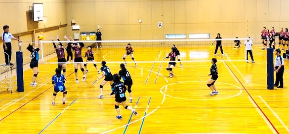 img_20191005-130748.jpg