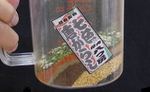 内藤とうがらしワークショップ 内藤七色唐がらし調合 内藤とうがらしワークショップ 内藤七色唐がらし調合