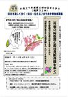 まち歩き 外堀の桜鑑賞と四谷見附界隈を歩く まち歩き 外堀の桜鑑賞と四谷見附界隈を歩く