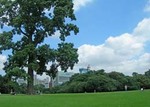 新宿御苑へようこそ5月 新宿御苑へようこそ5月
