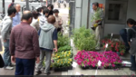 土と苗のサービスデー 四谷2丁目発展会 動画 土と苗のサービスデー 四谷2丁目発展会 動画