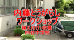 内藤とうがらしワークショップ 植え付け収穫 動画 内藤とうがらしワークショップ 植え付け収穫 動画
