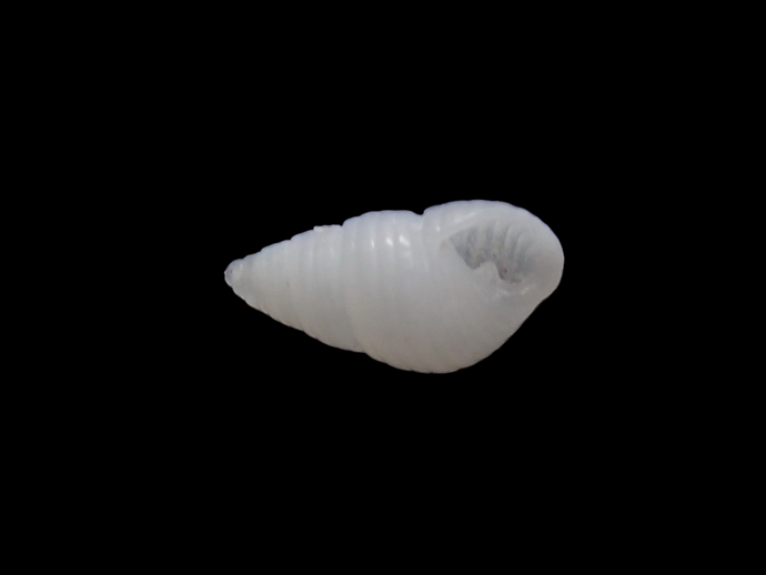 img_20260414-143746.png
