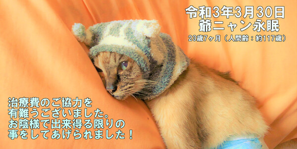 img_20210403-021905.jpg