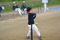 img_20151124-225623.jpg