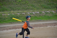img_20151124-233445.jpg