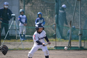 img_20160322-203729.jpg