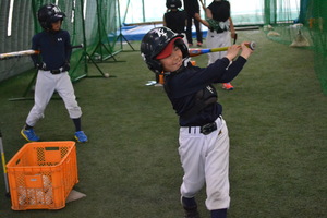 img_20160404-211932.jpg