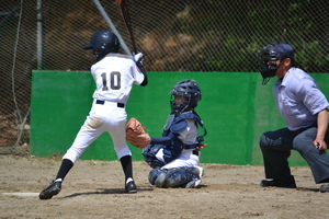 img_20160410-202024.jpg