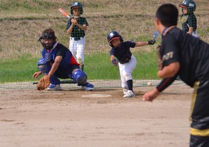 img_20160627-203023.jpg