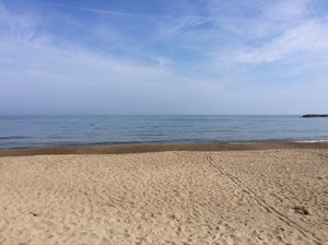 img_20160725-200230.jpg