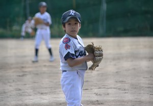 img_20161011-221004.jpg