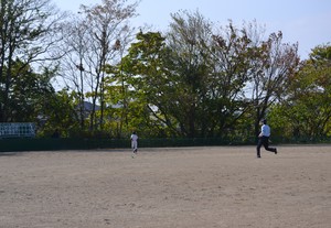 img_20161107-195126.jpg
