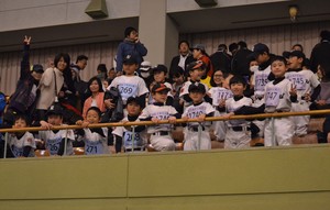img_20170110-202642.jpg