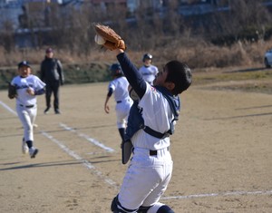 img_20170204-220205.jpg