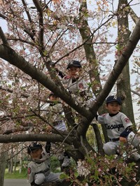 img_20170417-202721.jpg