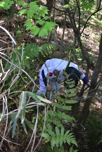 img_20170501-190215.jpg