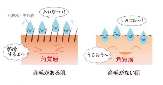 顔 産毛 化粧 人気 水