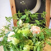 img_20170825-175401.jpg